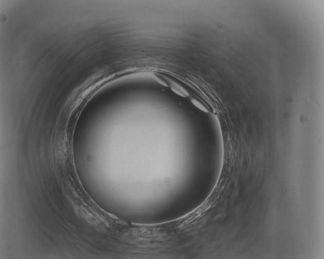 X0000081490338200701121515