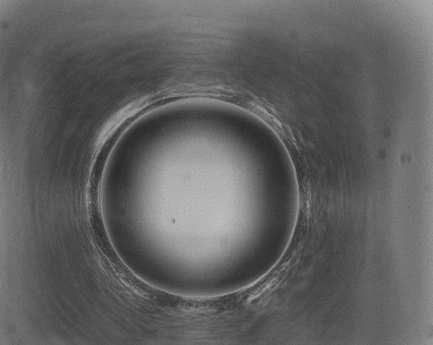 X0000081490340200701121515