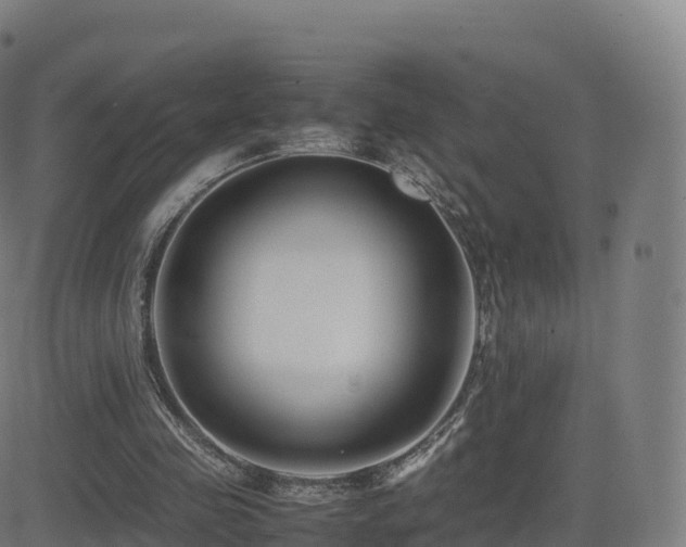 X0000081490341200701121515