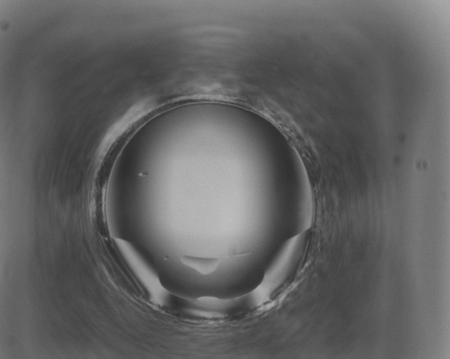 X0000081490344200701121516