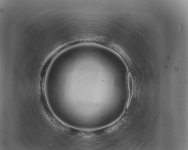 X0000081490346200701121516