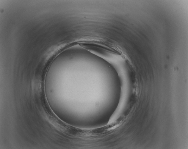 X0000081490348200701121516