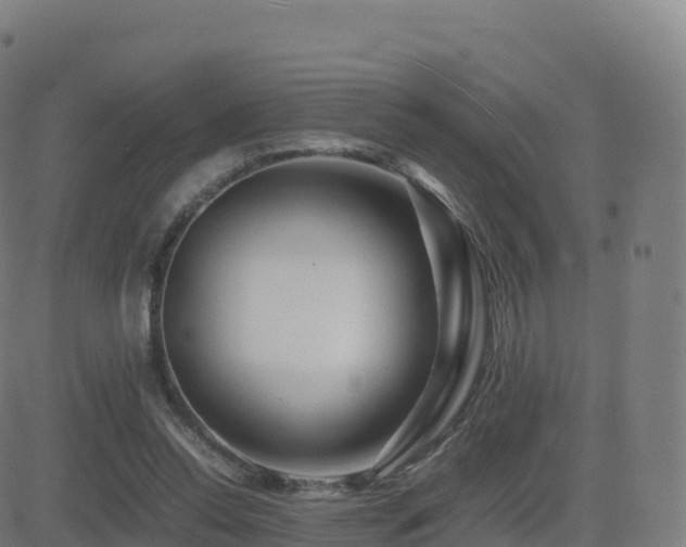 X0000081490350200701121516