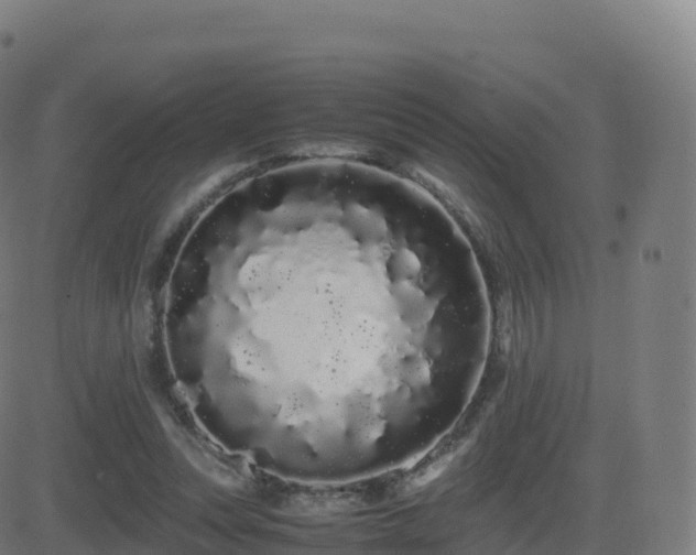 X0000081490351200701121516