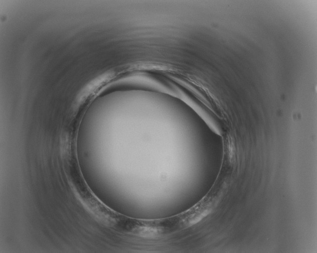 X0000081490352200701121516