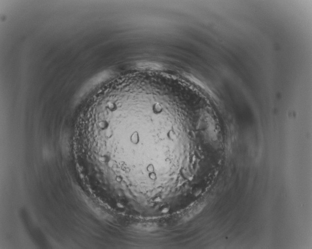 X0000081490353200701121516