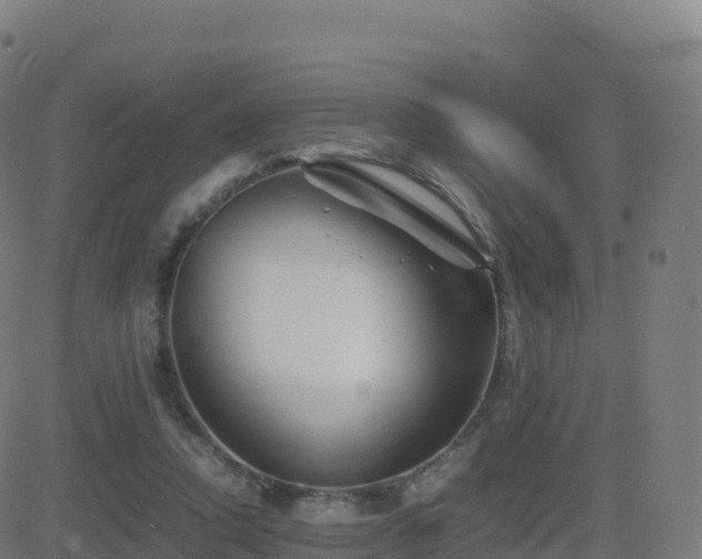 X0000081490354200701121516