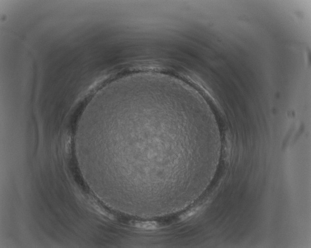 X0000081490355200701121516