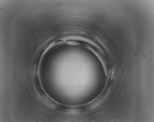 X0000081490356200701121516