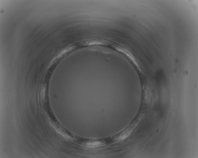 X0000081490357200701121516