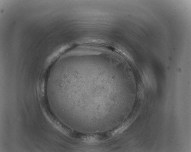 X0000081490358200701121516