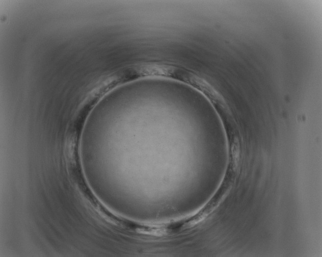 X0000081490359200701121516