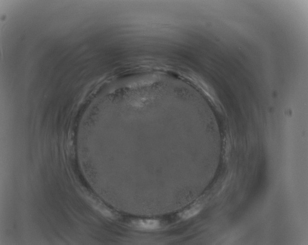 X0000081490361200701121516