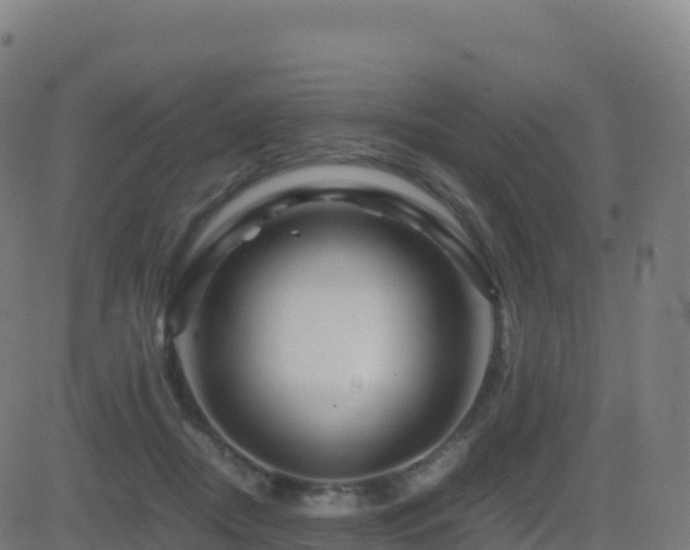 X0000081490362200701121516