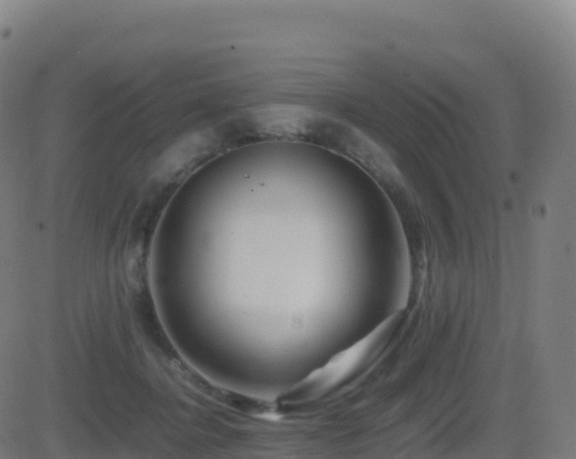 X0000081490364200701121516