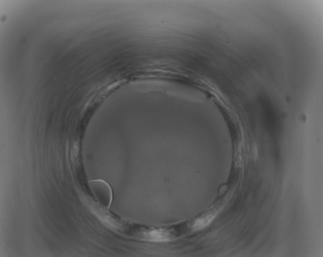 X0000081490365200701121516