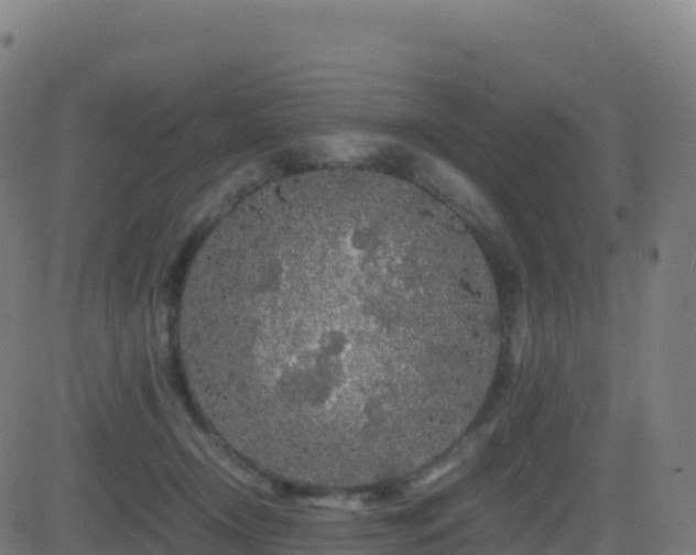 X0000081490366200701121516