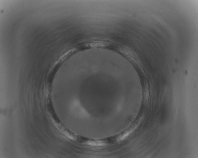 X0000081490367200701121516