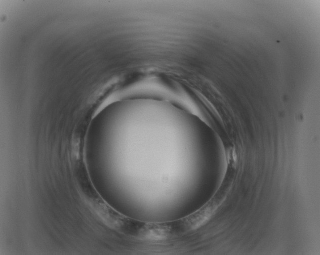 X0000081490368200701121516