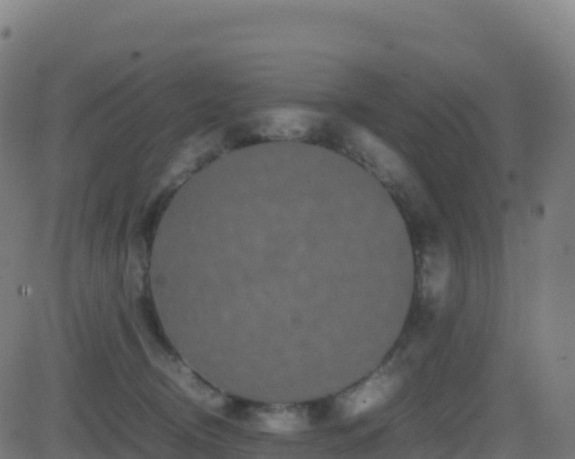 X0000081490370200701121516