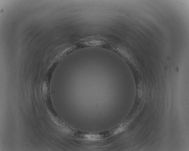 X0000081490371200701121516