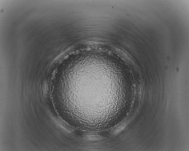 X0000081490372200701121516