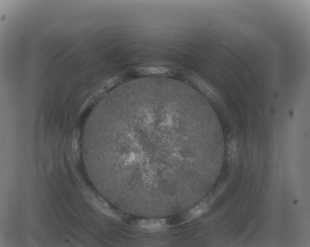 X0000081490373200701121516