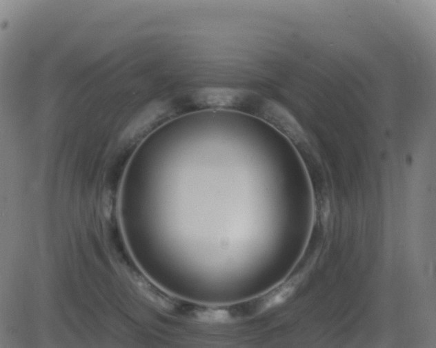 X0000081490374200701121516