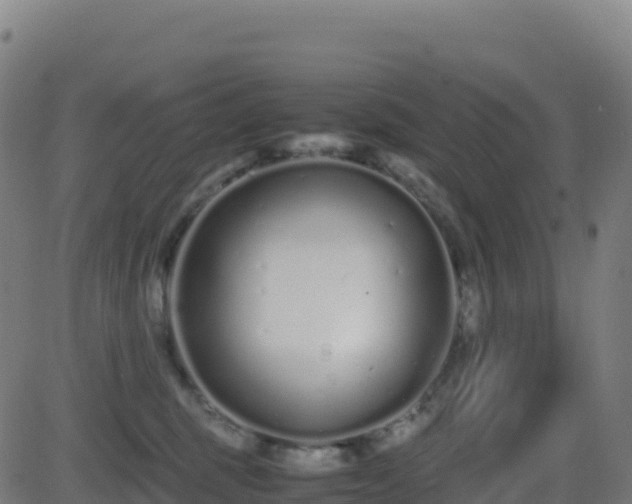 X0000081490375200701121516