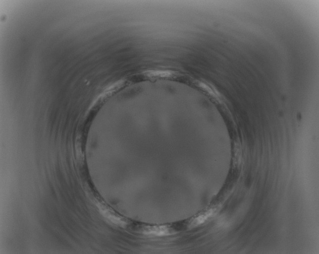 X0000081490377200701121516