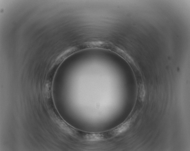 X0000081490378200701121516