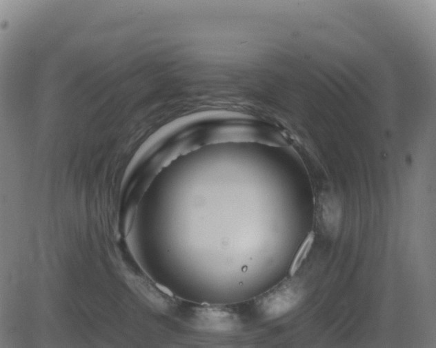 X0000081490380200701121516