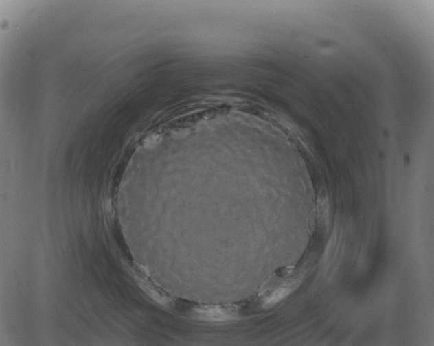 X0000081490381200701121516