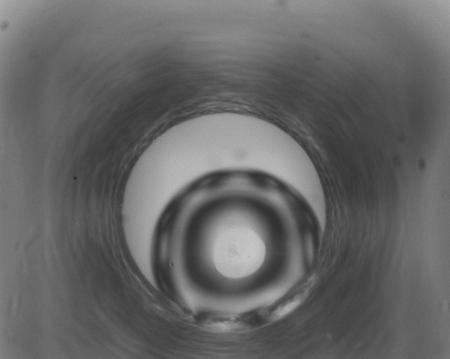 X0000081490382200701121516