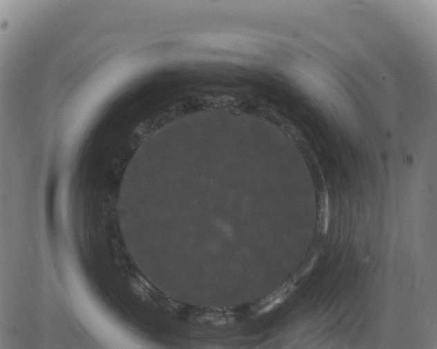 X0000081490383200701121516