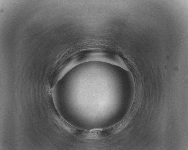 X0000081490384200701121516