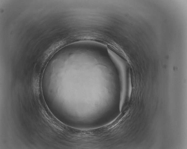 X0000081490386200701121515