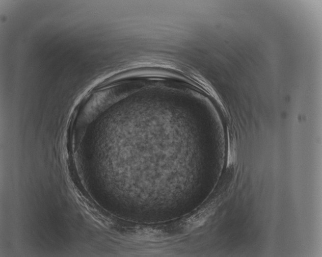 X0000081490387200701121515