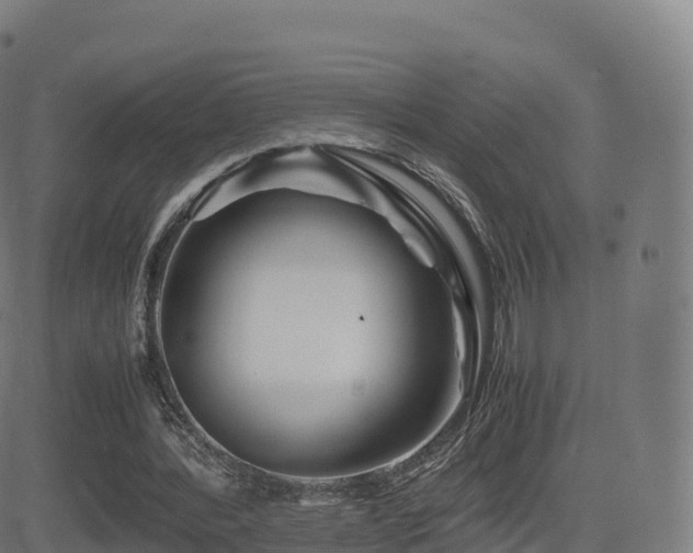 X0000081490388200701121515