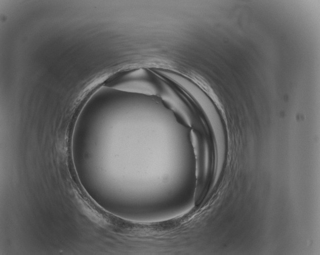 X0000081490389200701121515