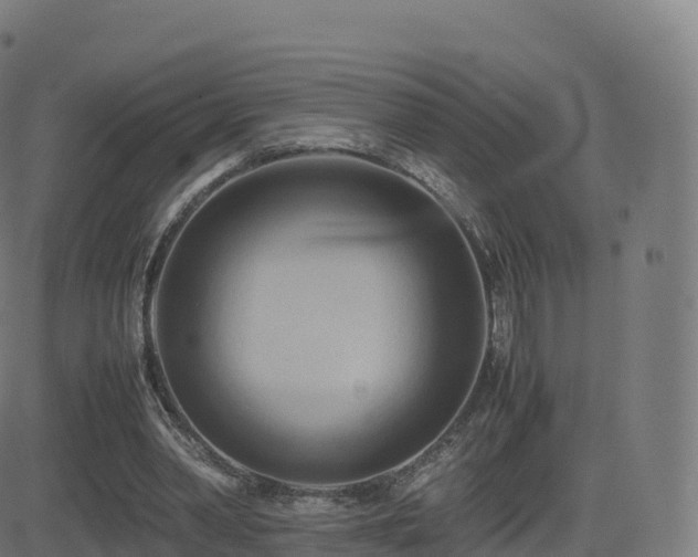 X0000081490390200701121515