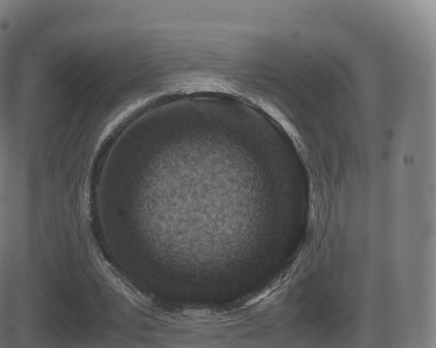 X0000081490391200701121515