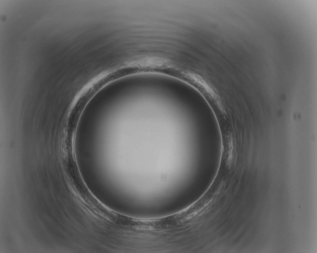 X0000081490392200701121515