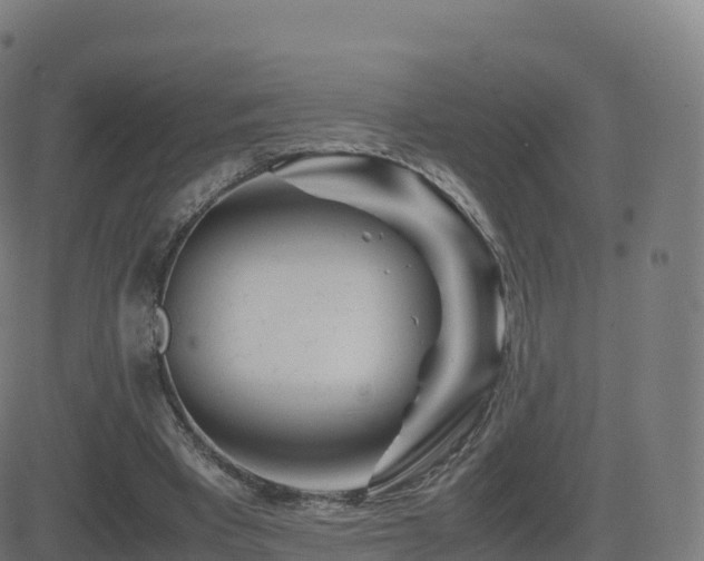 X0000081490393200701121515