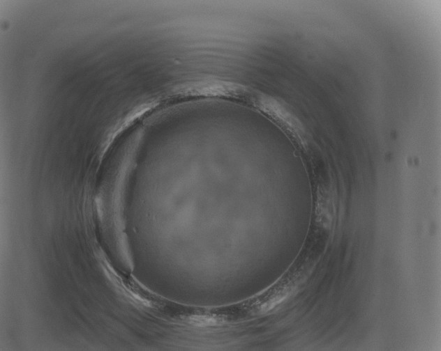 X0000081490394200701121515