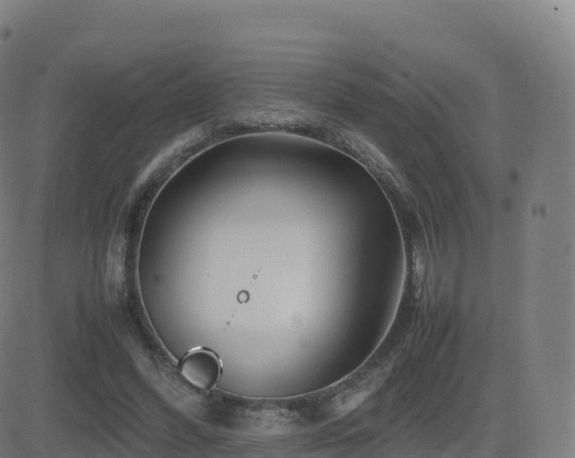 X0000081490396200701121515