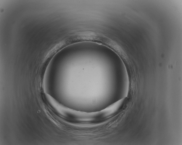 X0000081490397200701121515