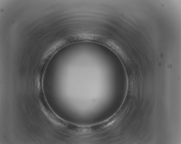 X0000081490398200701121515