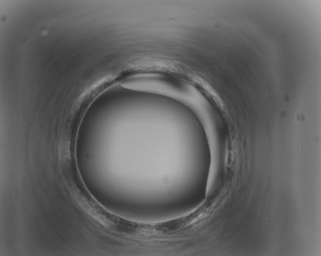 X0000081490399200701121515