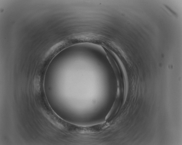 X0000081490400200701121515